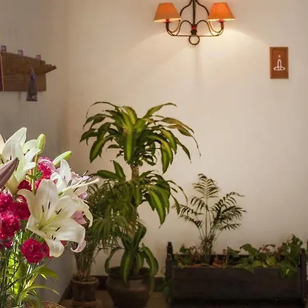 Appartement Eco Vista Bonita *