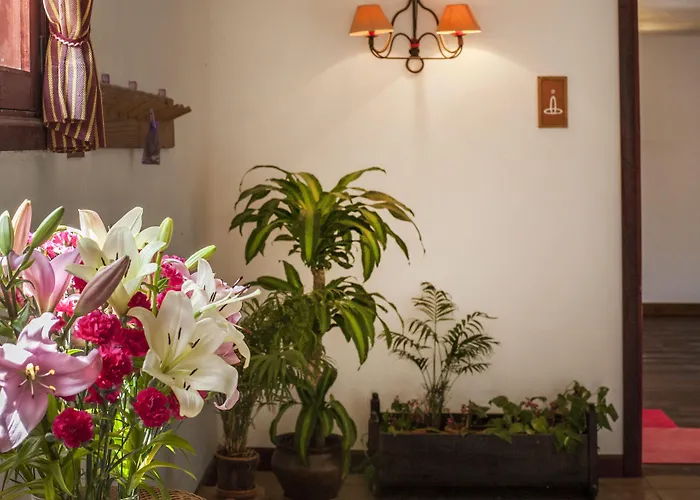 伊芬卡维斯塔博尼塔酒店 圣米格尔德阿沃纳