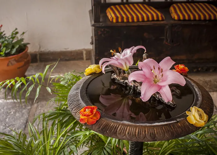 伊芬卡维斯塔博尼塔酒店 公寓