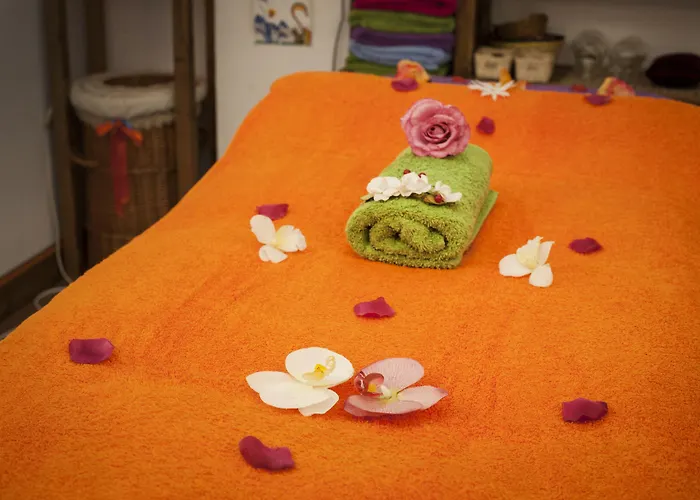 伊芬卡维斯塔博尼塔酒店 公寓 *