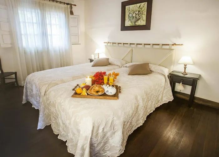 伊芬卡维斯塔博尼塔酒店 * 圣米格尔德阿沃纳